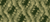 Matrix 503 Tropic